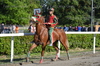 Immagine <b>REG_9327</b>